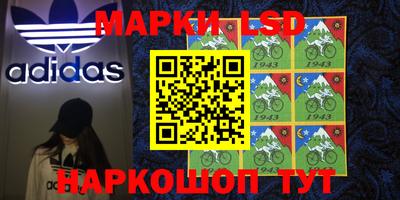 спиды Новозыбков