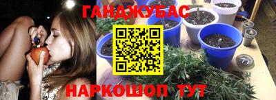 мдма Новодвинск