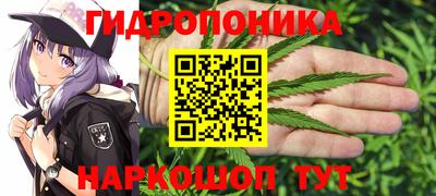 спиды Новозыбков