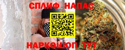 спиды Новозыбков